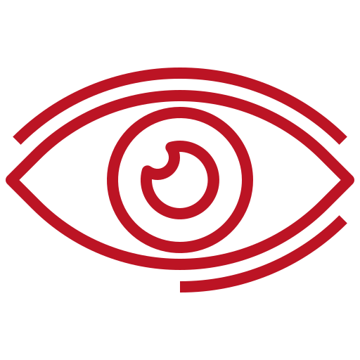 Nos lentilles